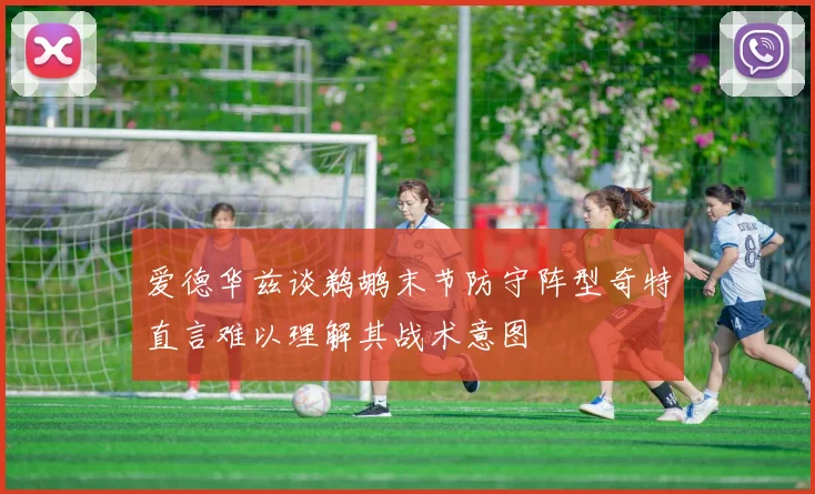 爱德华兹谈鹈鹕末节防守阵型奇特直言难以理解其战术意图