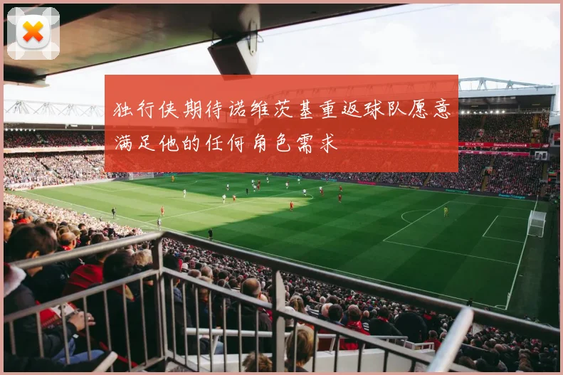 独行侠期待诺维茨基重返球队愿意满足他的任何角色需求